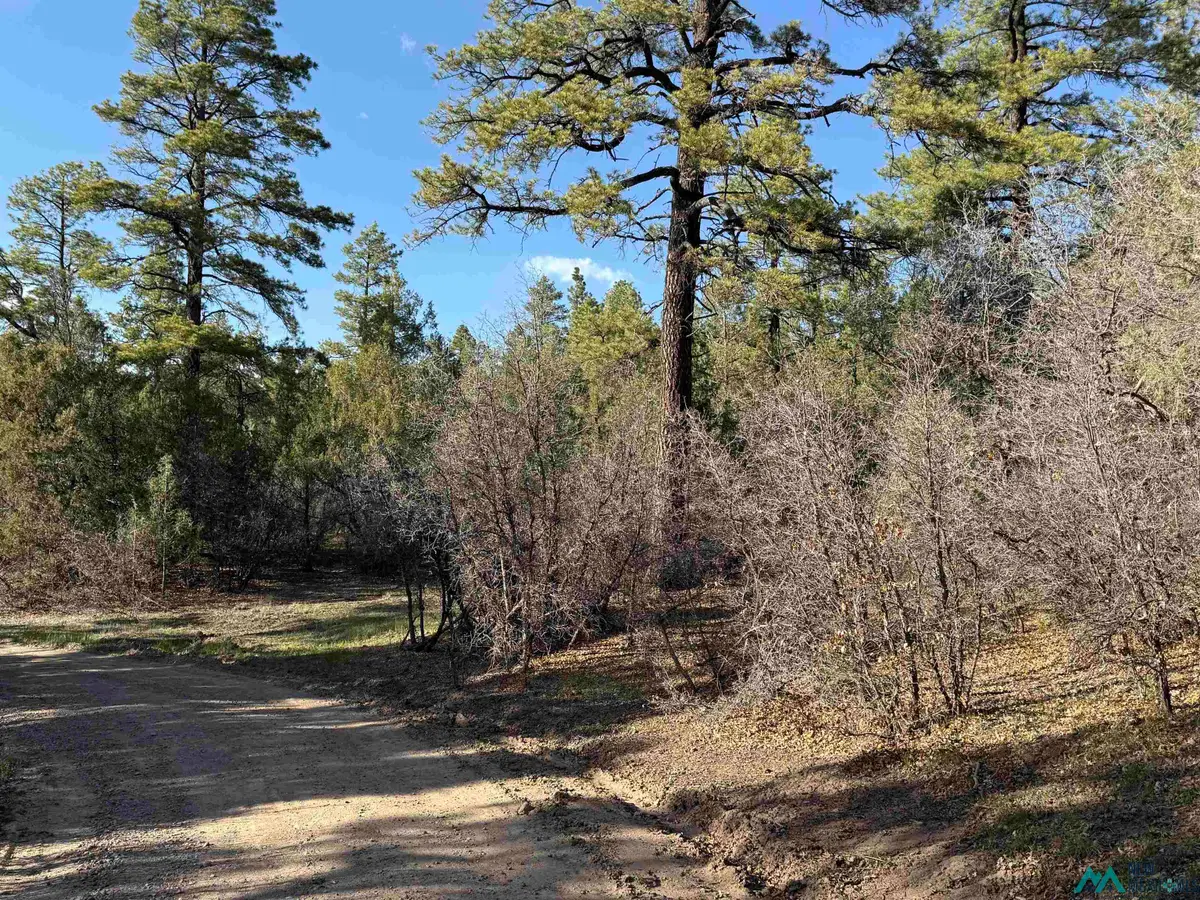 0 Private Drive 1781a Road, Chama, NM 87520 - #1