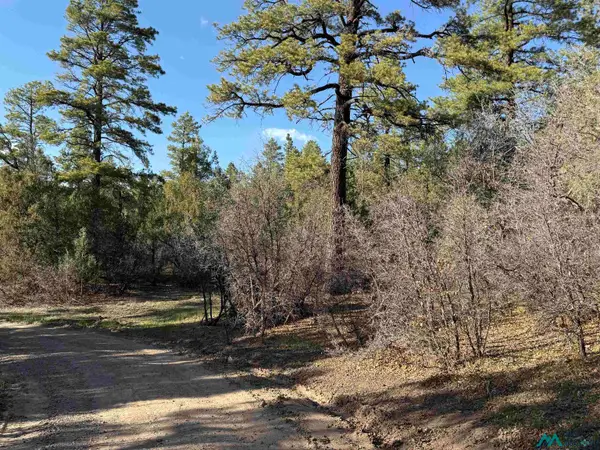 0 Private Drive 1781a Road, Chama, NM 87520