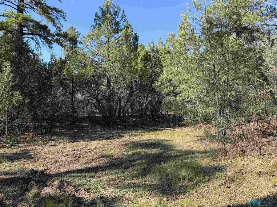 0 Private Drive 1781a Road, Chama, NM 87520 - #2