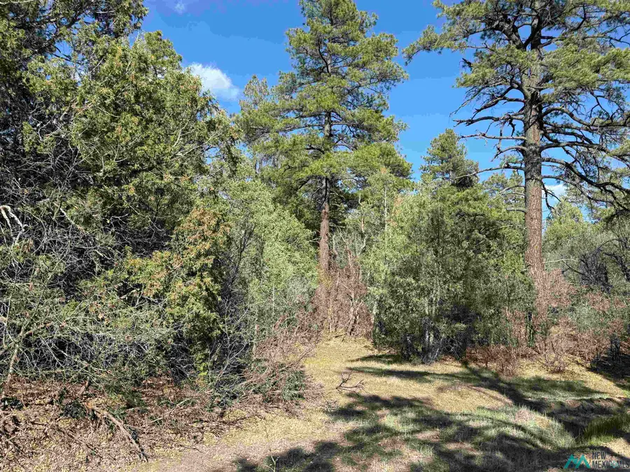 0 Private Drive 1781a Road, Chama, NM 87520 - #3