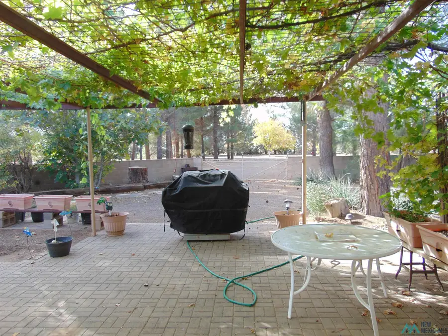 6560 SE Venture Road, Deming, NM 88030 - #2