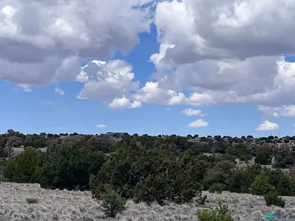 69 Wildflower Trail, Quemado, NM 87829