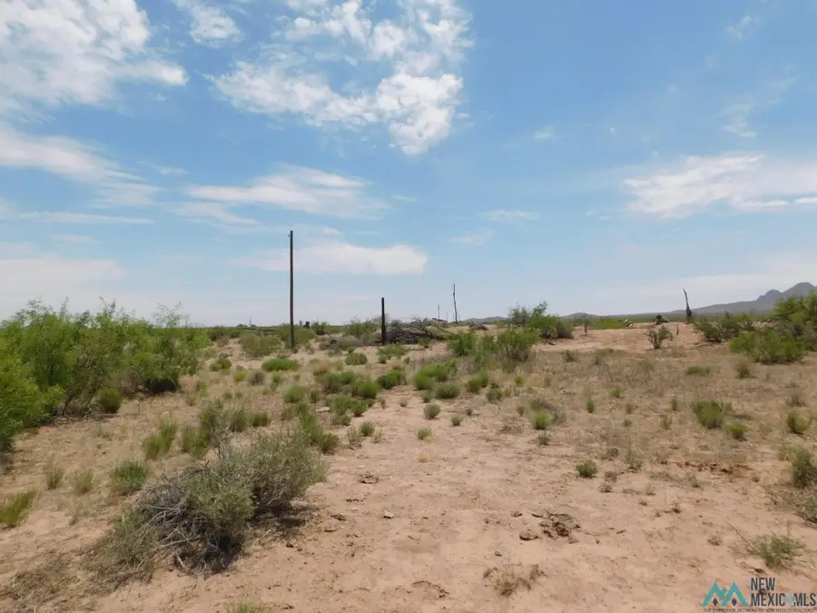 20015 Cowhide Rd Se, Deming, NM 88030 - #3