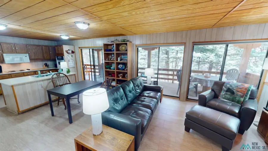 12 Camino Sur Drive, Rociada, NM 87742 - #2