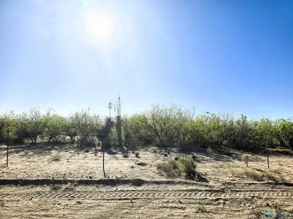 0000 Camino De Valdes Sw Road, Deming, NM 88030