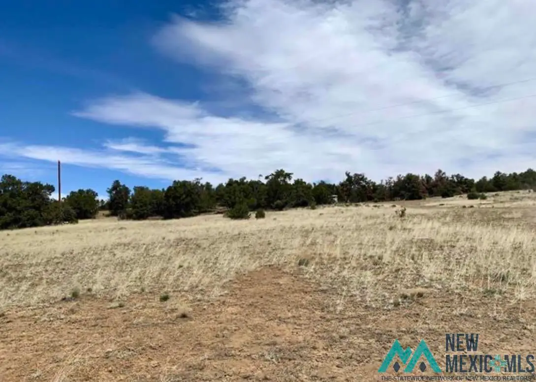 18 Five Gates Road, Pinehill, NM 87357 - #1