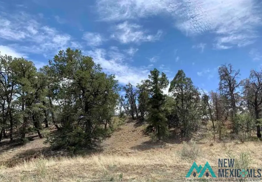 18 Five Gates Road, Pinehill, NM 87357 - #2