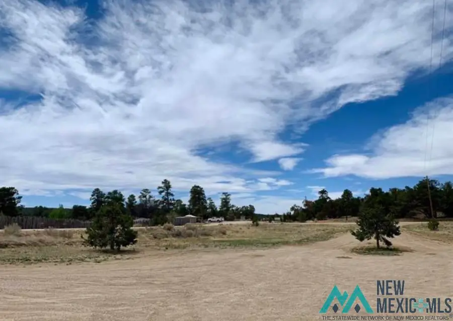 18 Five Gates Road, Pinehill, NM 87357 - #3