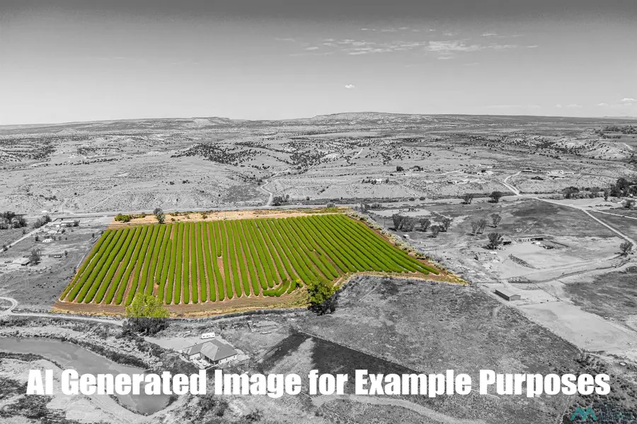 920 Nm 170, Farmington, NM 87401 - #2