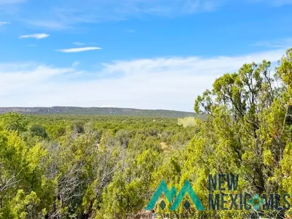 40 Acres Off Of Cr B-29, Ribera, NM 87560