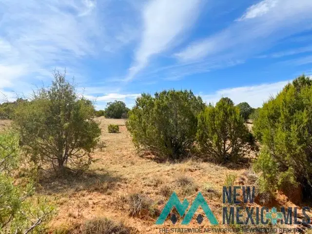 40 Acres Off Of Cr B-29, Ribera, NM 87560 - #3