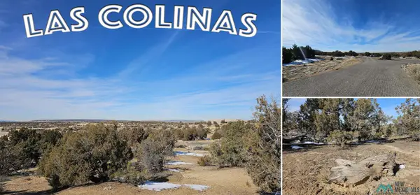 1811 Placitas Trail, Farmington, NM 87401