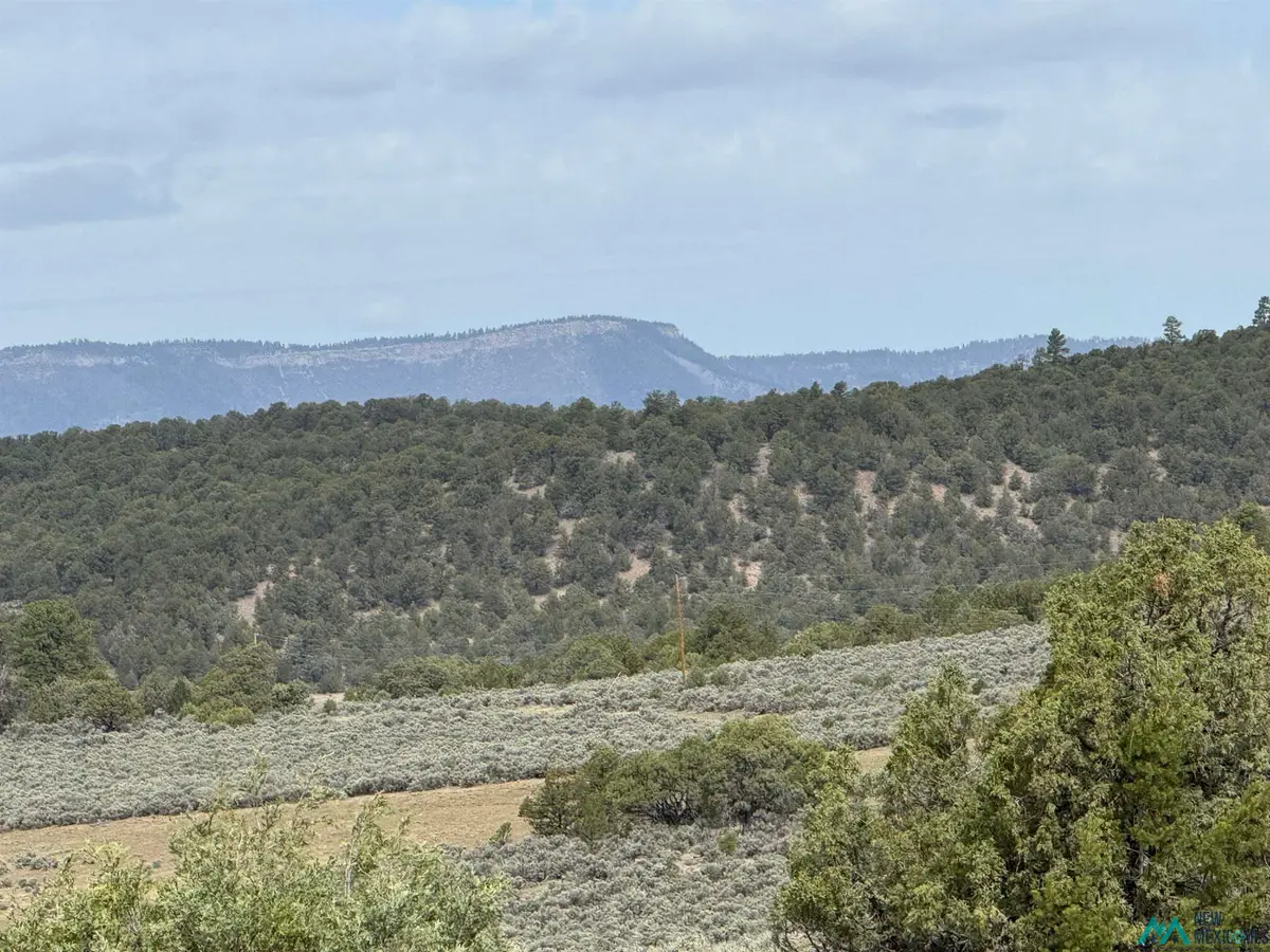 TBD U-3 T-4 Talavera Road, Tierra Amarilla, NM 87575 - #1