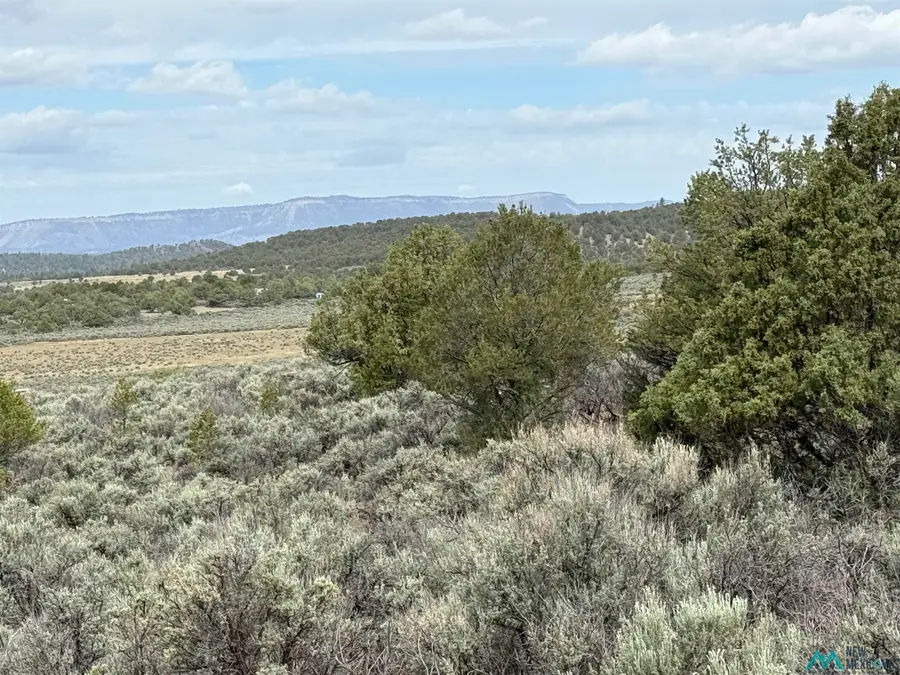 TBD U-3 T-4 Talavera Road, Tierra Amarilla, NM 87575 - #3