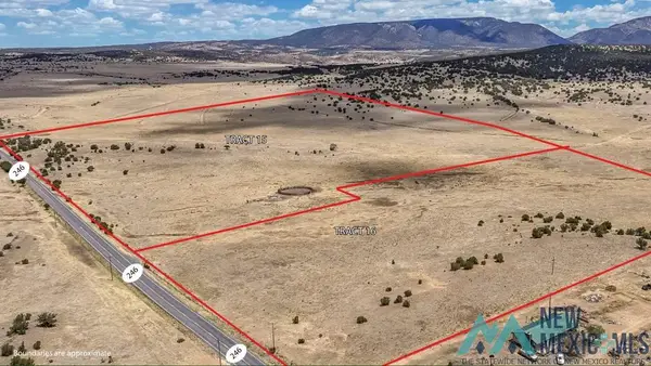 0 N 246, Capitan, NM 88316