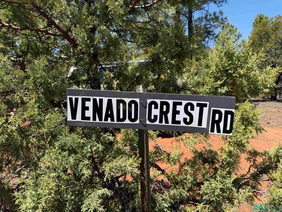 TBD Little Arrow Road, El Morro Valley, NM 87321 - #2