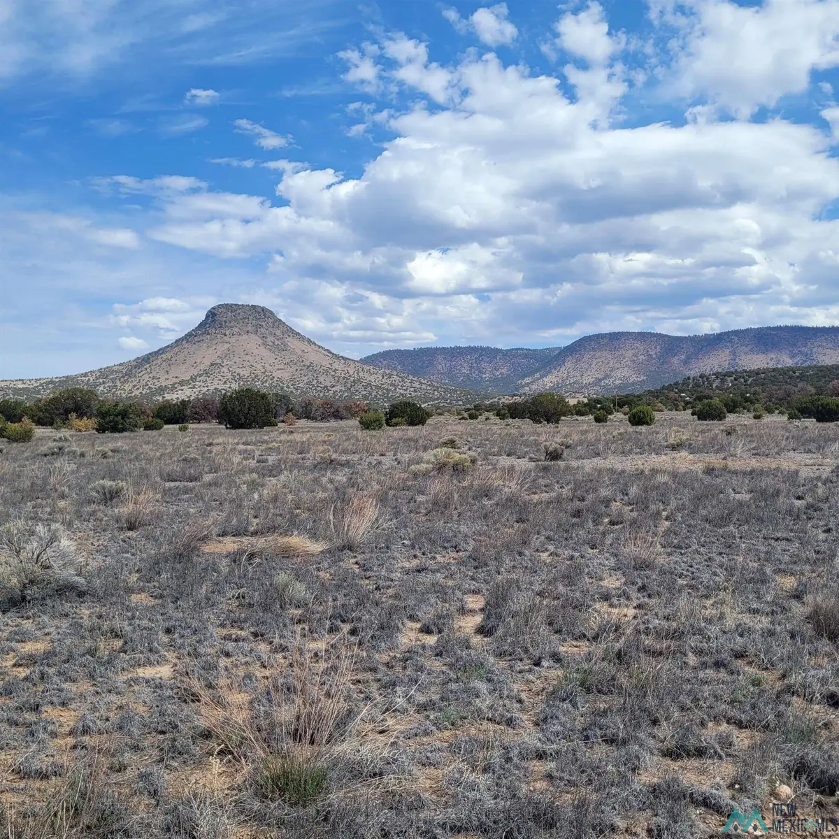 Xx (Lot 46) Southern Trail, Datil, NM 5 - #1