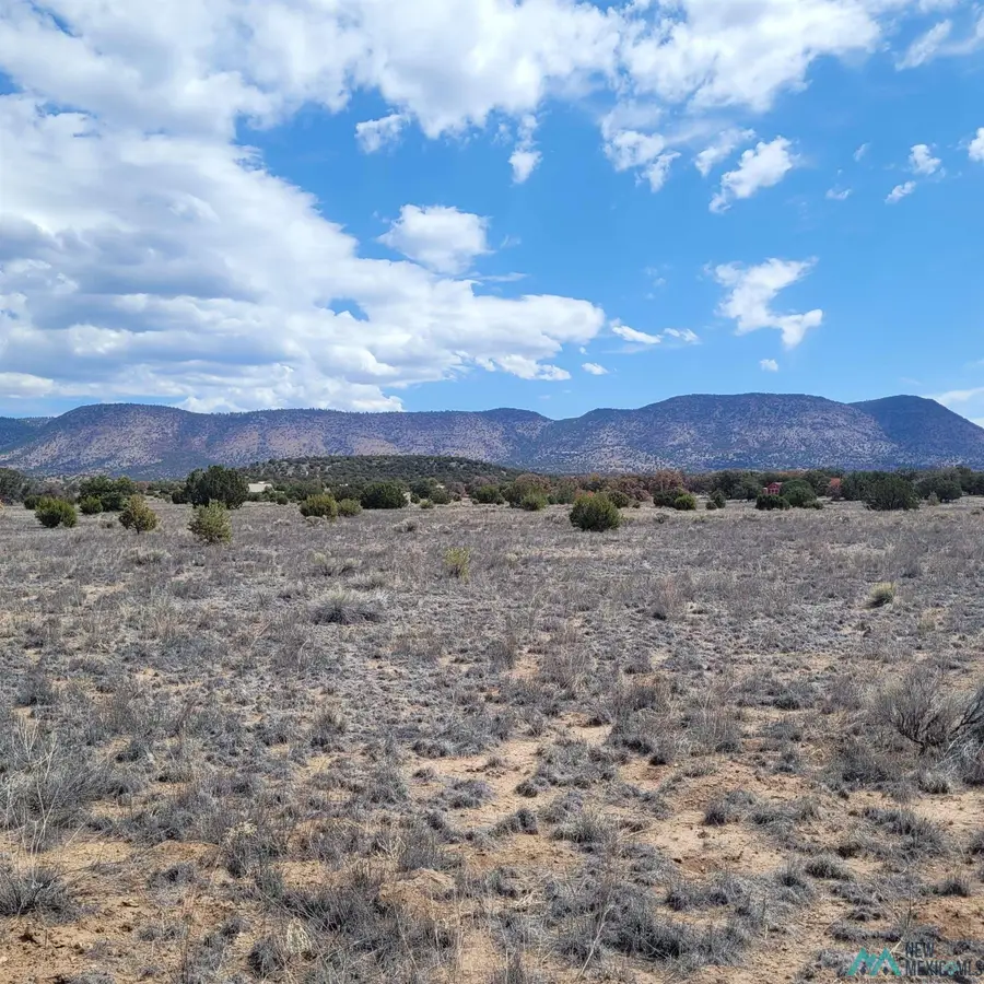 Xx (Lot 46) Southern Trail, Datil, NM 5 - #2