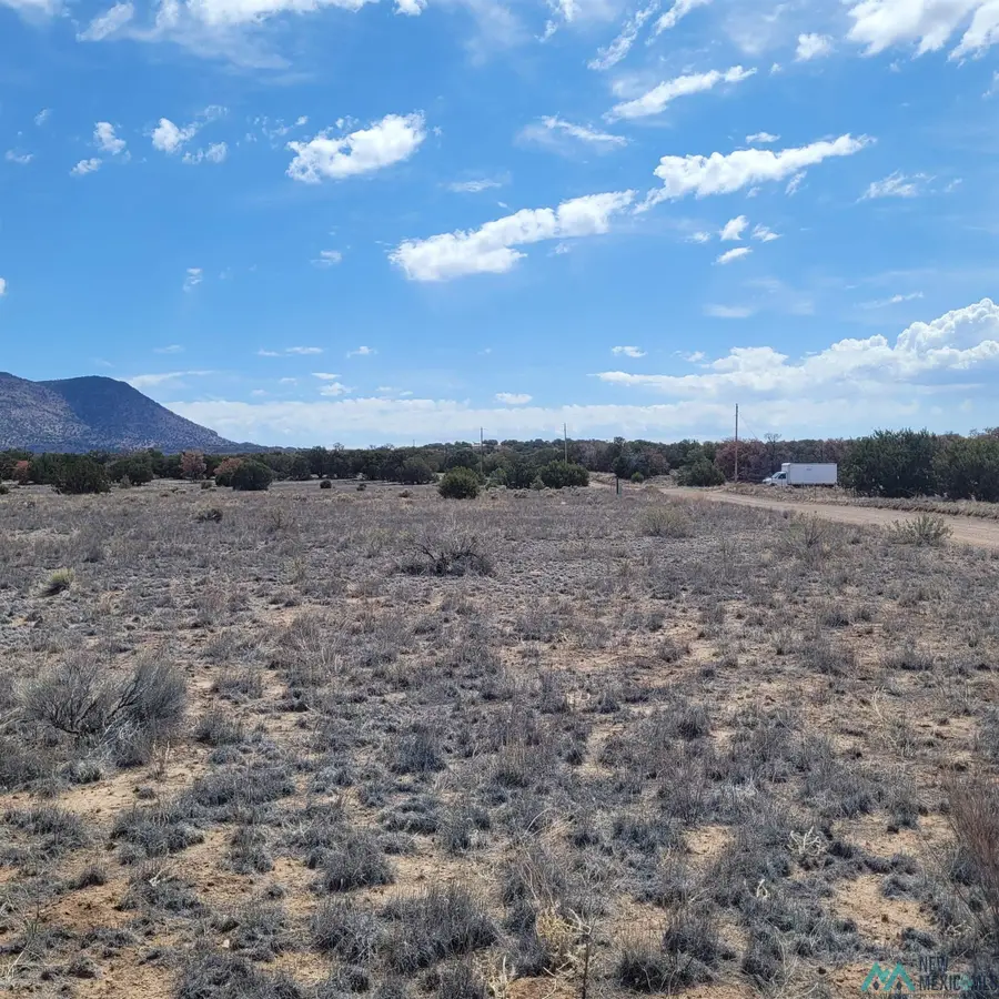 Xx (Lot 46) Southern Trail, Datil, NM 5 - #3