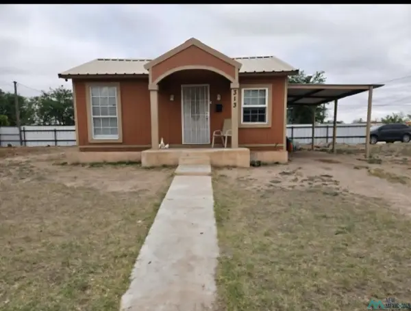 313 W Clinton Street, Hobbs, NM 88420