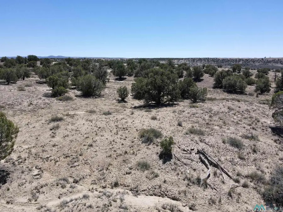 NYA Road 3160, Aztec, NM 87410 - #2