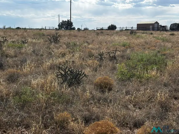 Sr 203 Highway, Fort Sumner, NM 88119