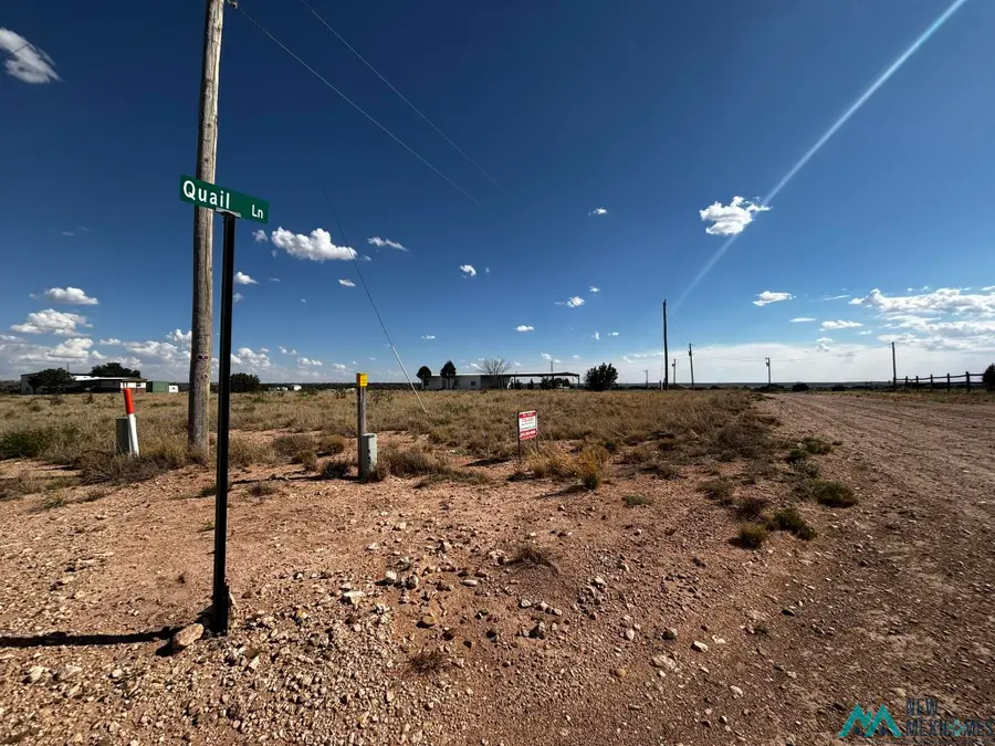 Sr 203 Highway, Fort Sumner, NM 88119 - #3