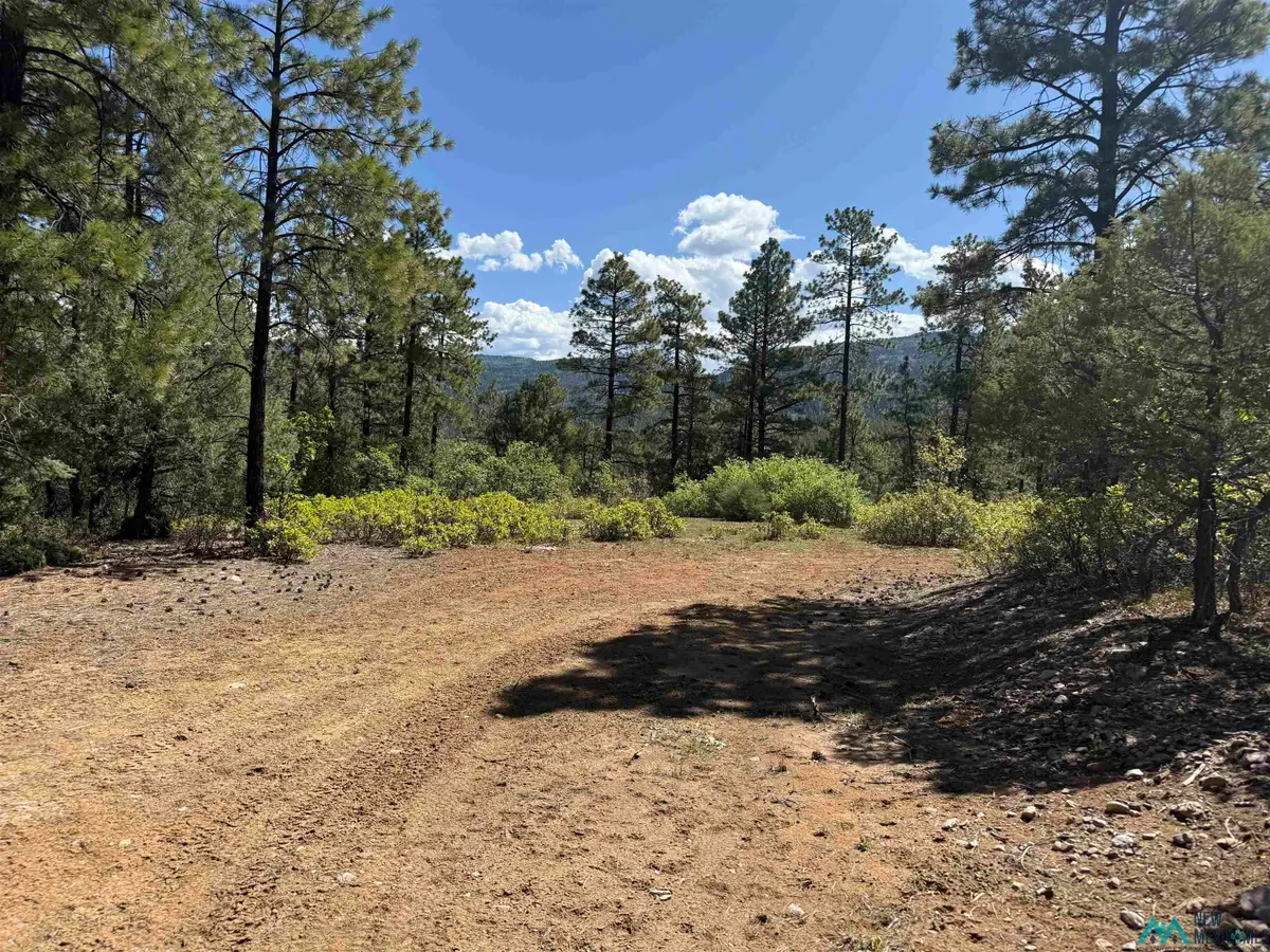 TBD Buckman Road Road, Chama, NM 87520 - #1