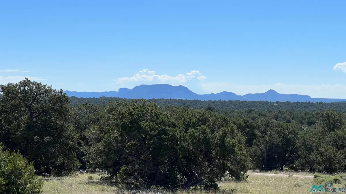 TBD Solano Rd Road, Pie Town, NM 87827 - #1