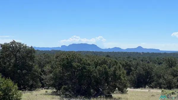 TBD Solano Rd Road, Pie Town, NM 87827