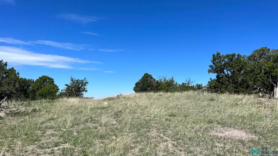 TBD Solano Rd Road, Pie Town, NM 87827 - #2