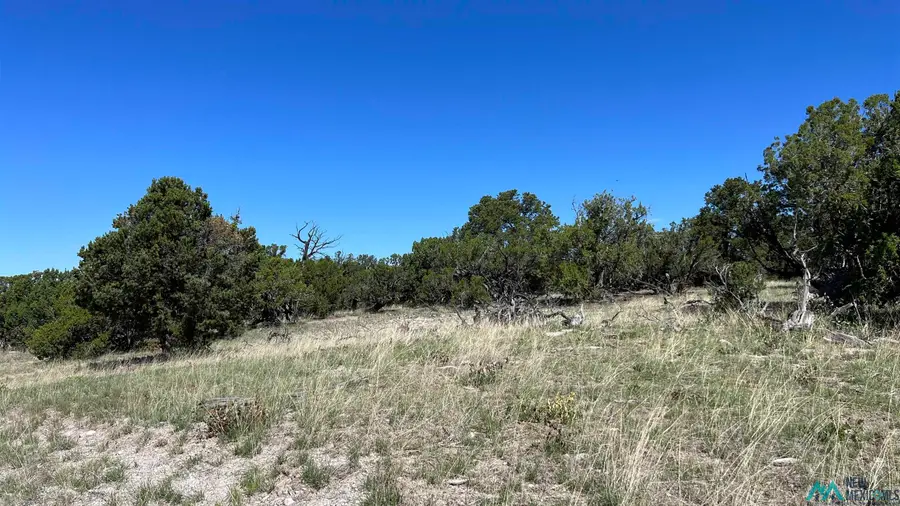 TBD Solano Rd Road, Pie Town, NM 87827 - #3