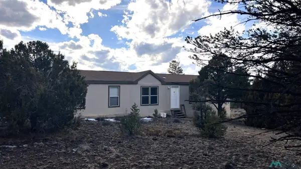 41 El Caso Rd Road, Quemado, NM 87829
