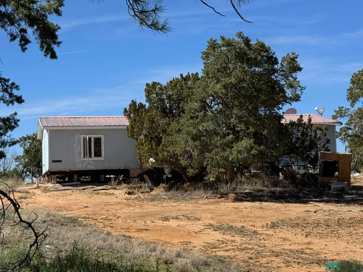 63 Bear Valley, Candy Kitchen, NM 87357 - #1