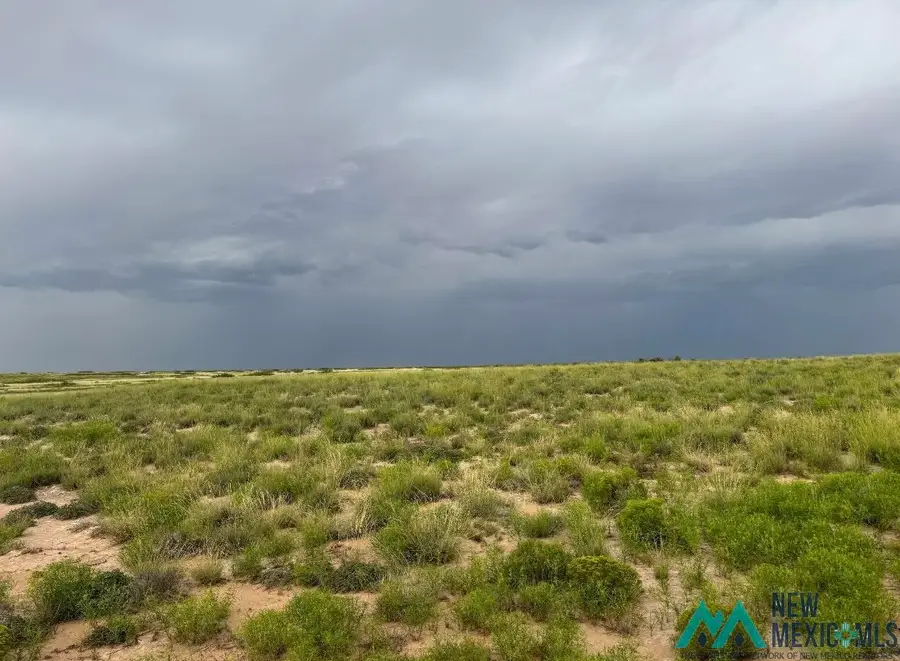 00 Dona Ana Road, Roswell, NM 88201 - #2