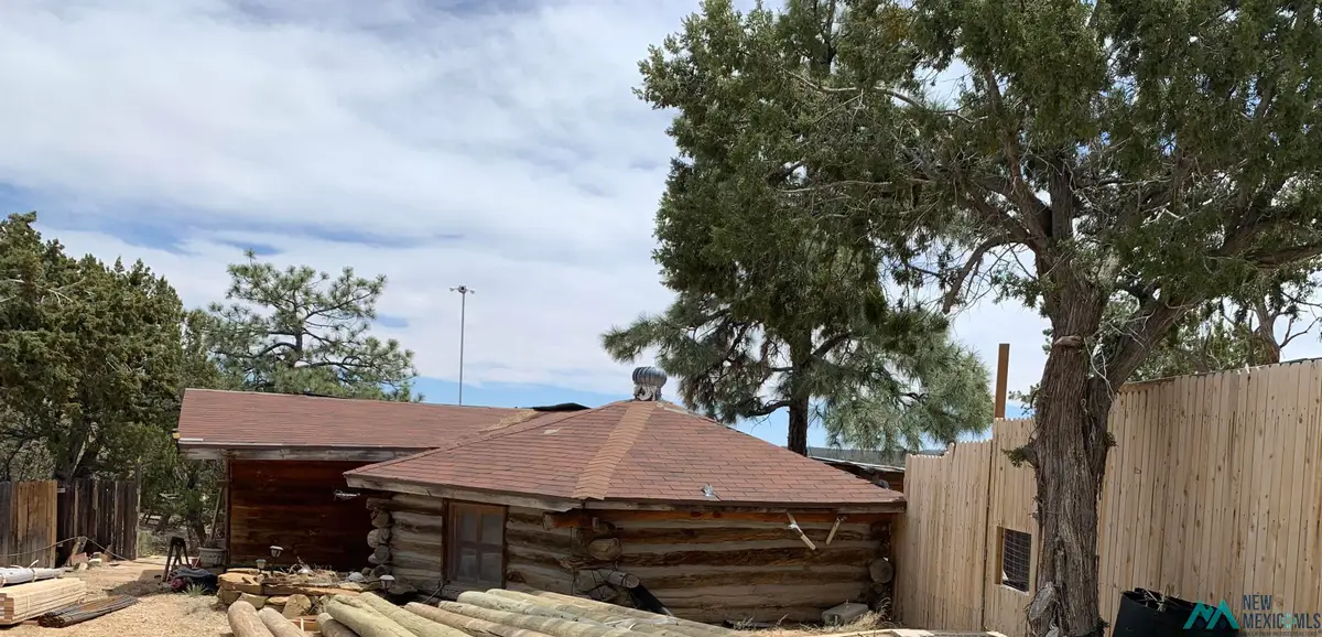 83 Bear Valley, Candy Kitchen, NM 87357 - #1