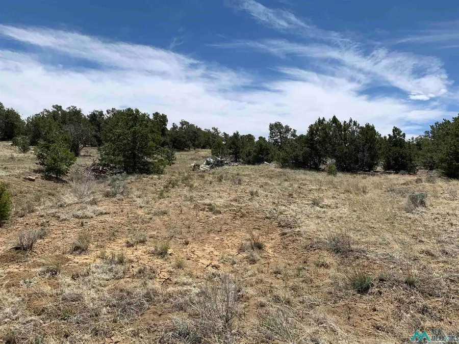 83 Bear Valley, Candy Kitchen, NM 87357 - #2