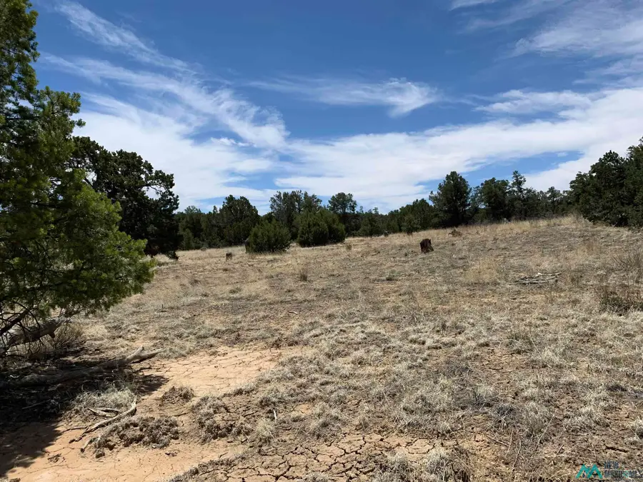 83 Bear Valley, Candy Kitchen, NM 87357 - #3