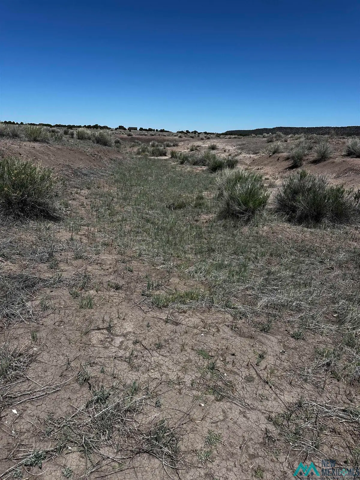 37 Airport Road, Quemado, NM 87829 - #1