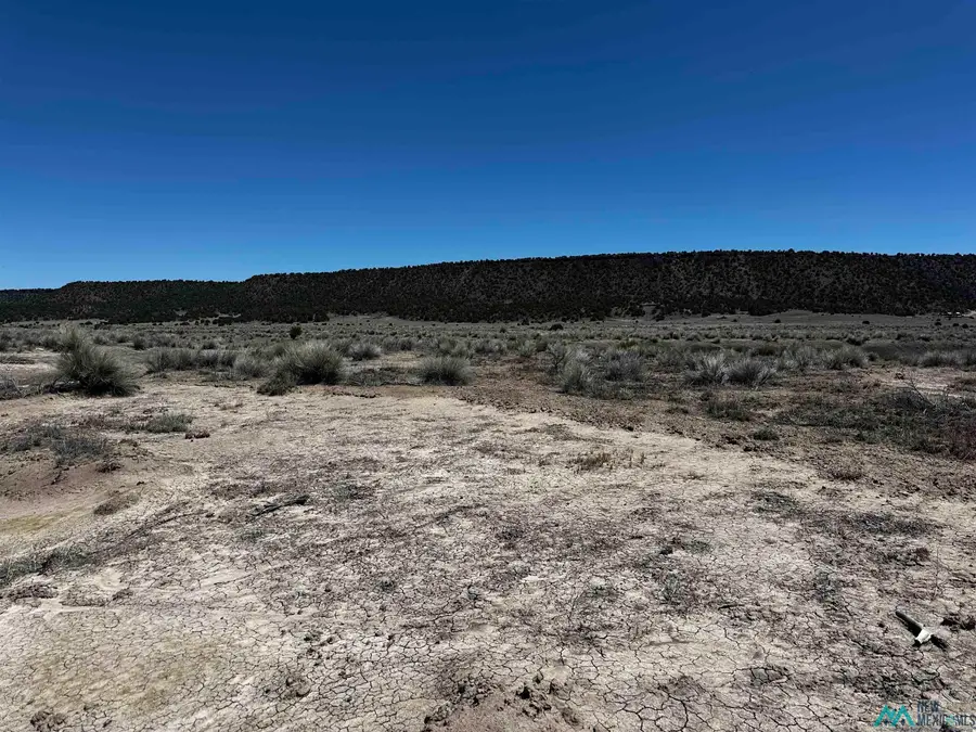 37 Airport Road, Quemado, NM 87829 - #3