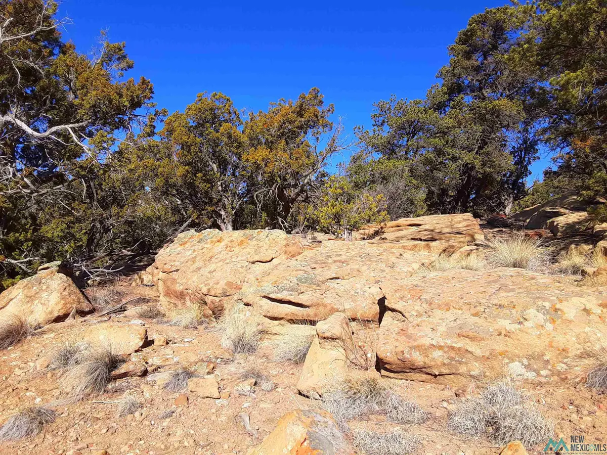 26 David's Rock Road, Pinehill, NM 87357 - #1