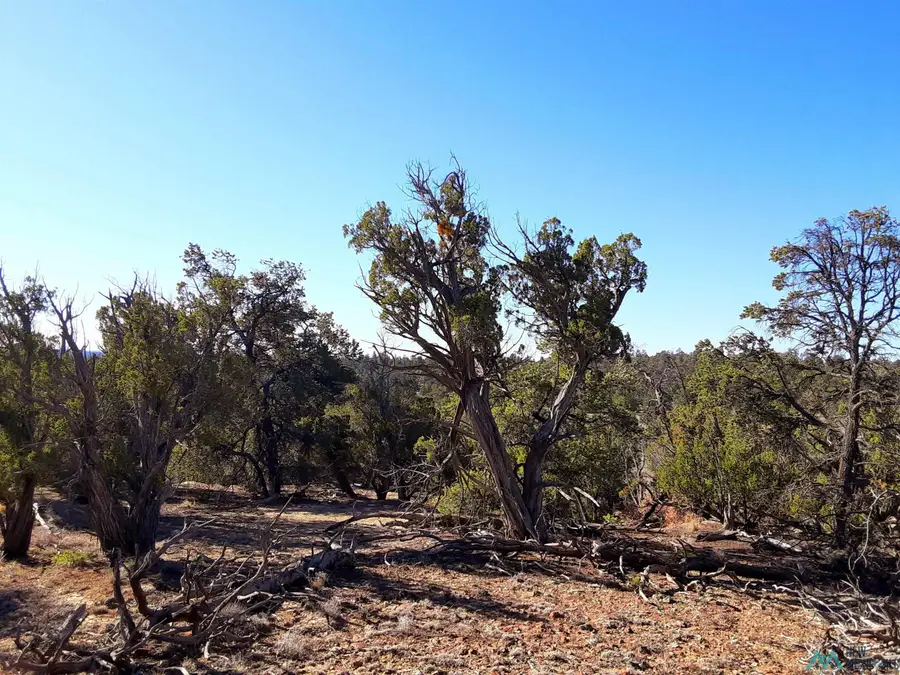 26 David's Rock Road, Pinehill, NM 87357 - #2