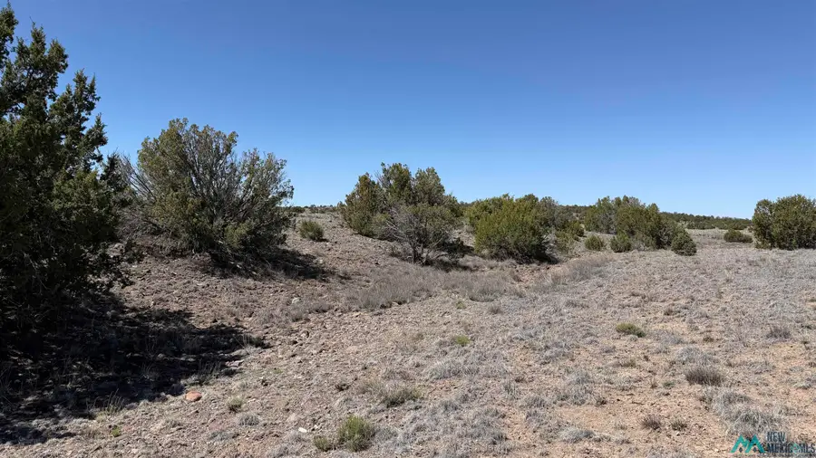 TBD Horseshoe Trail Road, Quemado, NM 87829 - #3