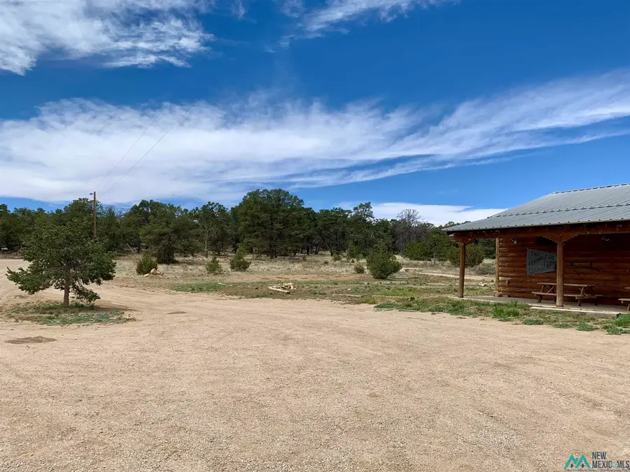 371 Candy Kitchen Road, Candy Kitchen, NM 87357 - #3