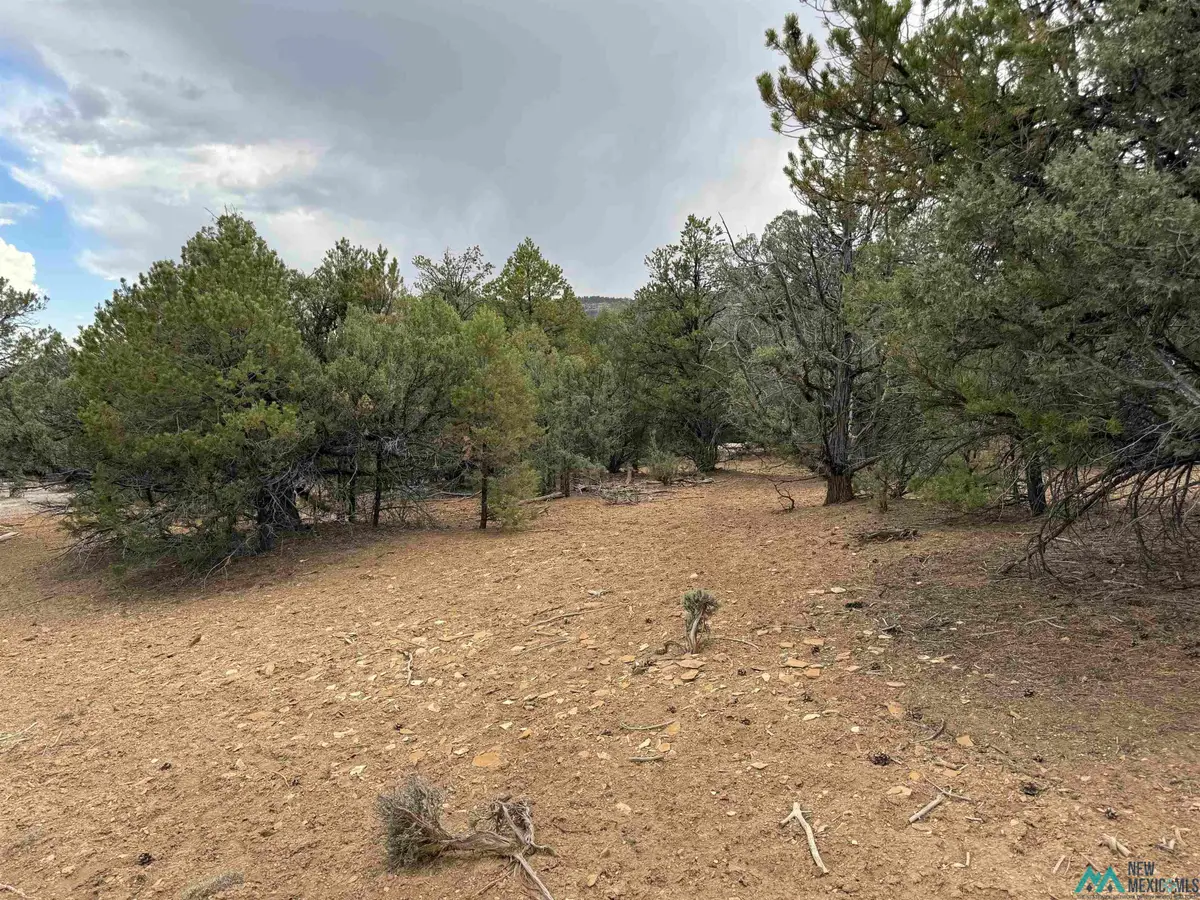 0 Pinon Ridge Blvd Boulevard, Los Ojos, NM 87551 - #1
