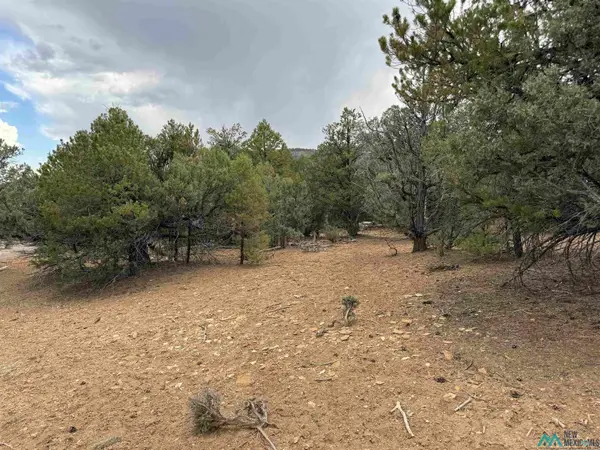 0 Pinon Ridge Blvd Boulevard, Los Ojos, NM 87551
