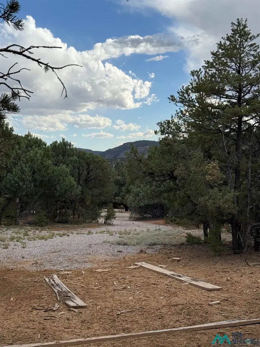 0 Pinon Ridge Blvd Boulevard, Los Ojos, NM 87551 - #2
