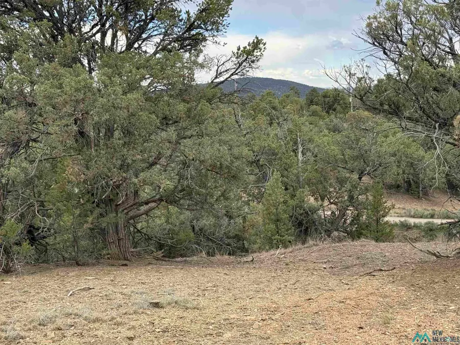 0 Pinon Ridge Blvd Boulevard, Los Ojos, NM 87551 - #3