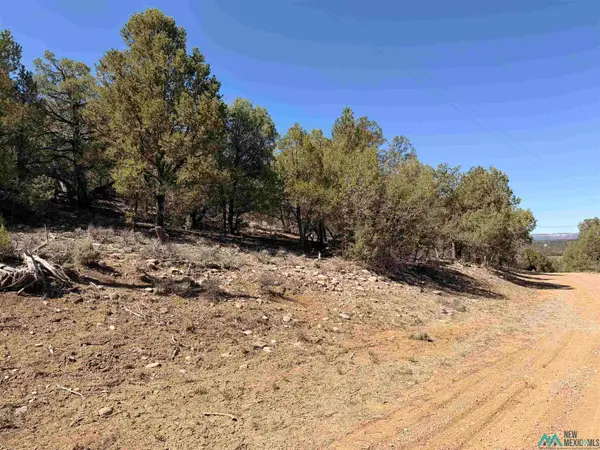 TBD Talavera Sd Road, Tierra Amarilla, NM 87575