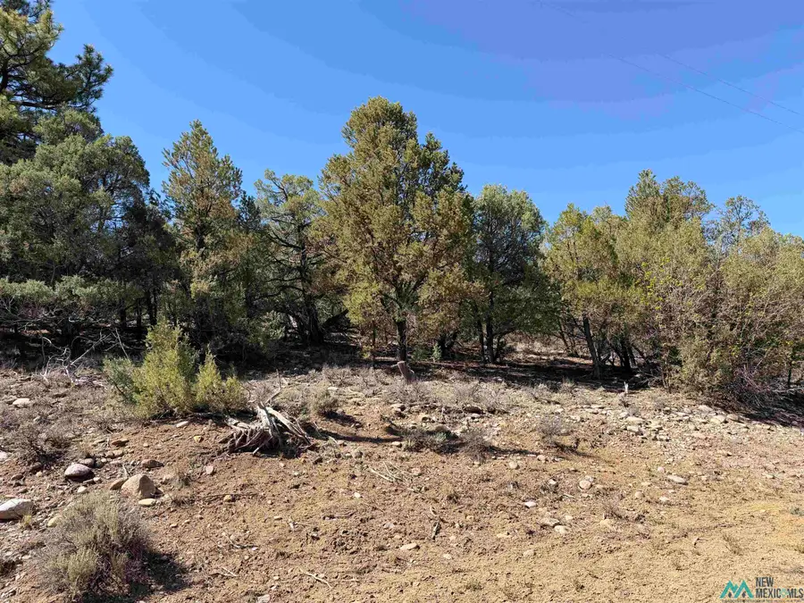 TBD Talavera Sd Road, Tierra Amarilla, NM 87575 - #2
